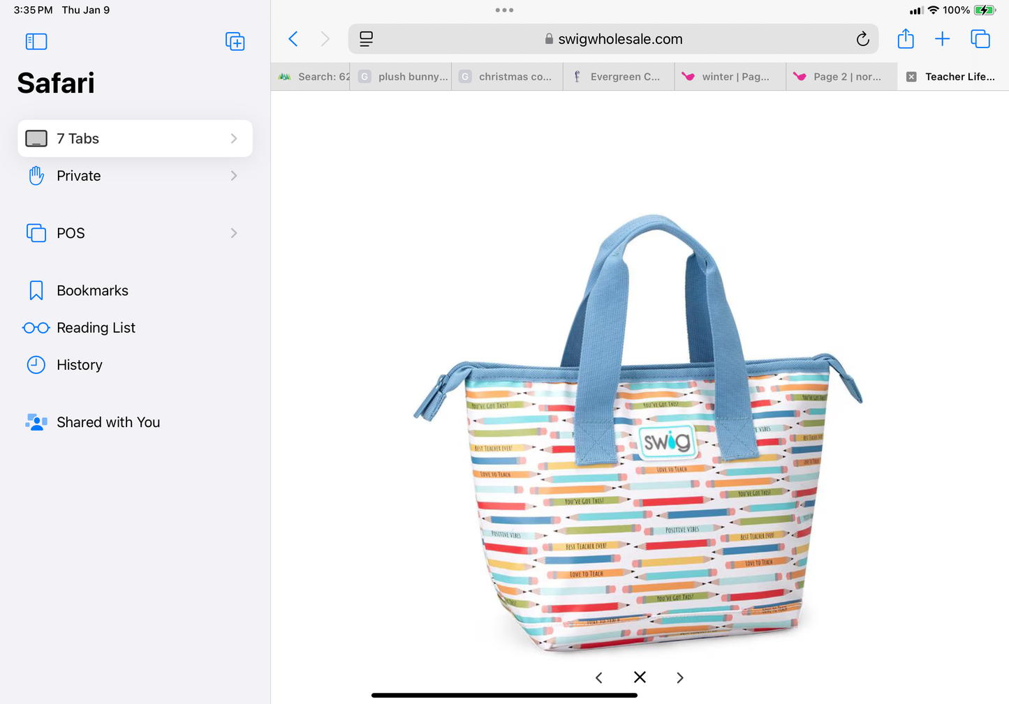 Teacher Life Lunchi Lunch Bag