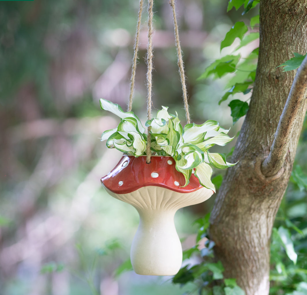 Red Mushroom Hanging Planter