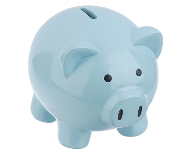 Blue Pig Money Bank 6"