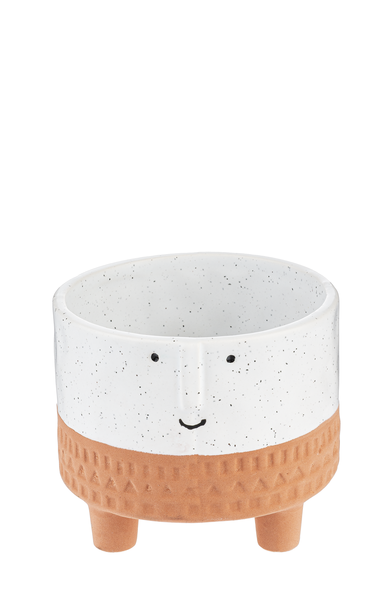 Face Planter with Terracotta Stripe