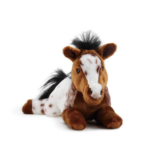 Appaloosa Horse Large