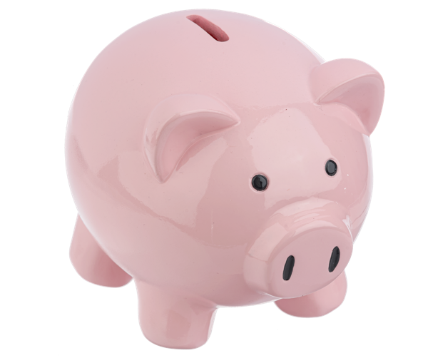 Pink Pig Money Bank