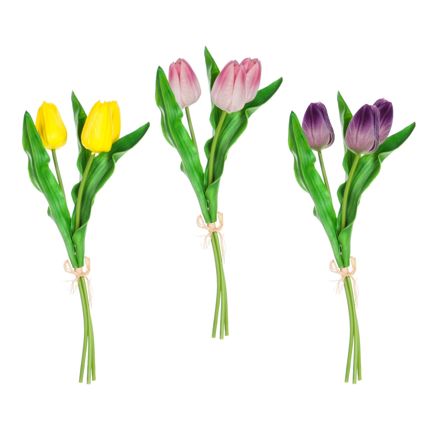 Tulip Stems