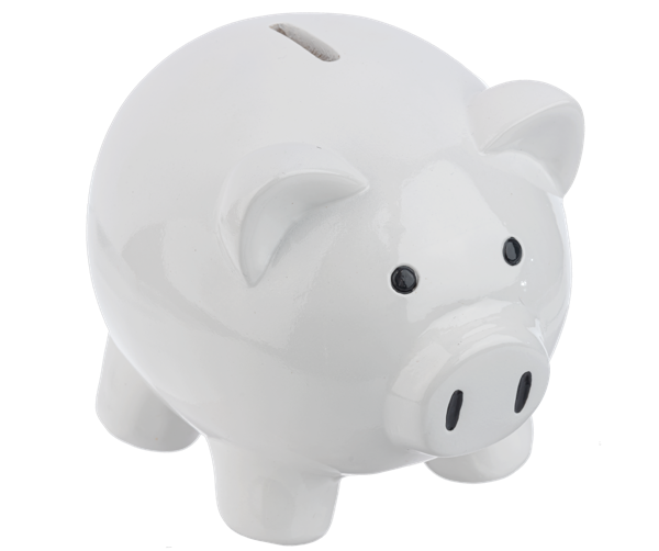 White Pig Money Bank 6"